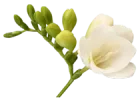 img_2.png
