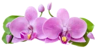 img_6.png